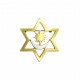 Estrela SOL Dourado